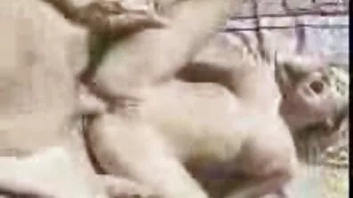 Білява красуня догоджає свого порно відео з животними чоловіка прочуханкою і віддається йому перед роботою
